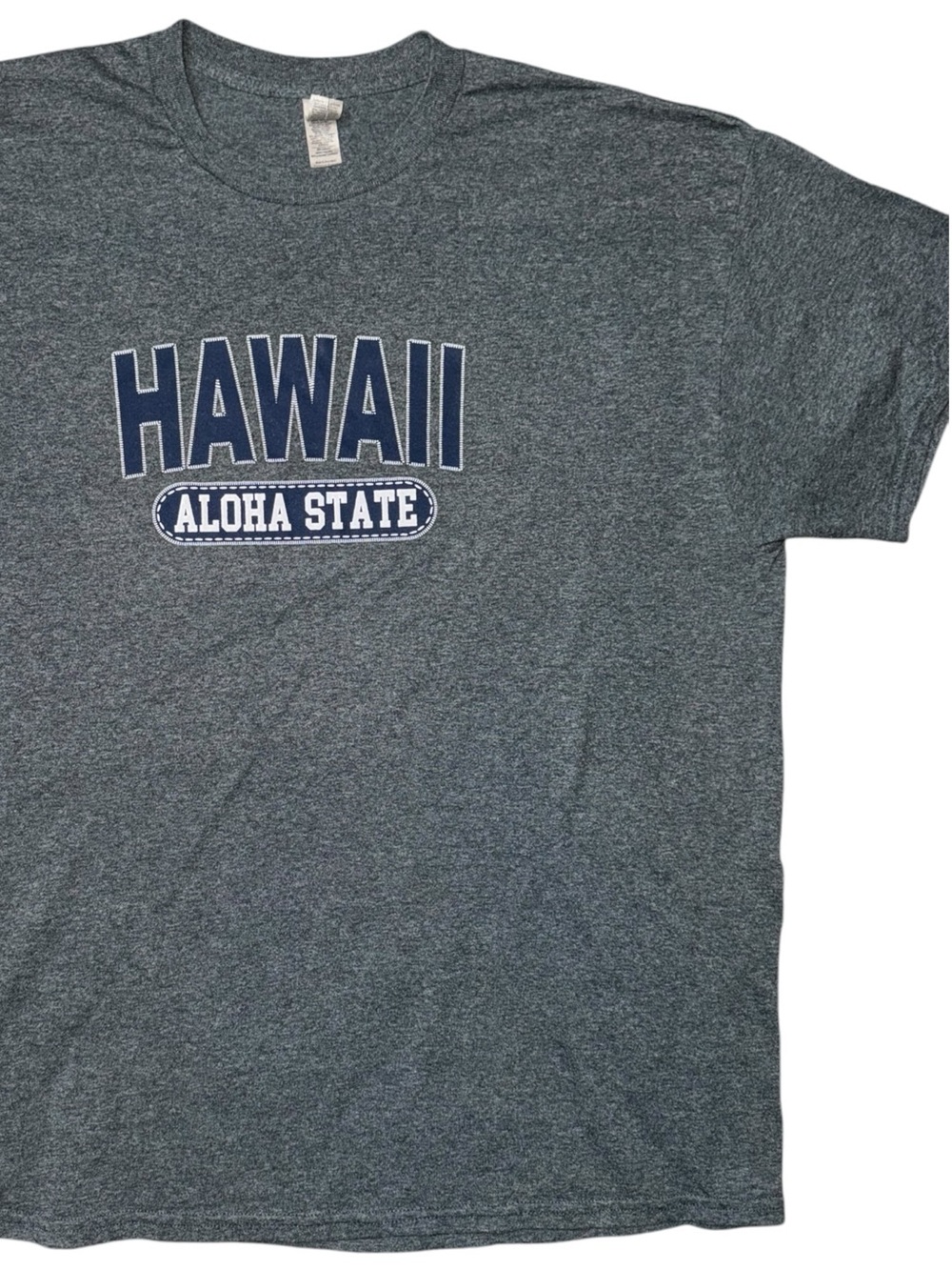 Hawaii Aloha State Men’s XL Gray Graphic T-Shirt Gildan Heavy Cotton